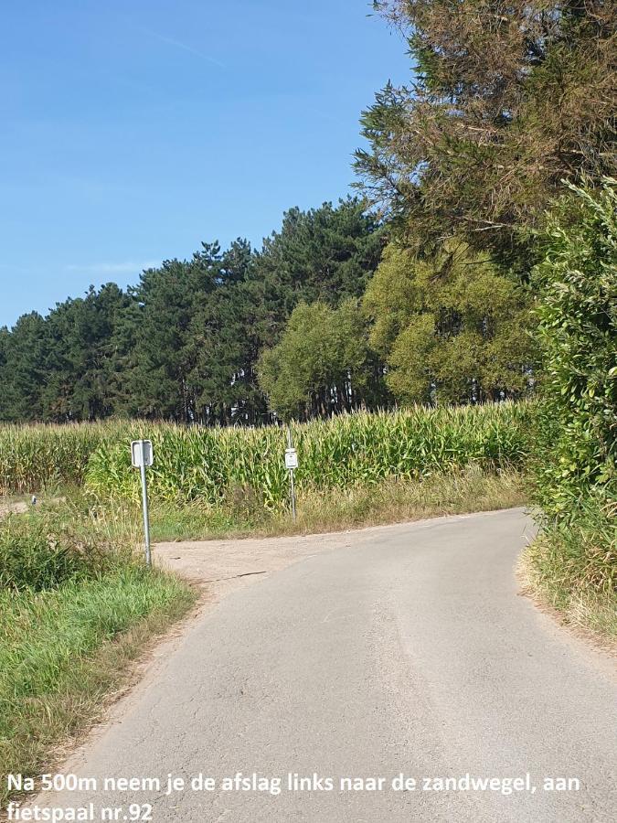 Eden Villa Sint-Pauwels Eksteriør bilde